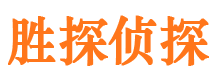 定陶调查事务所